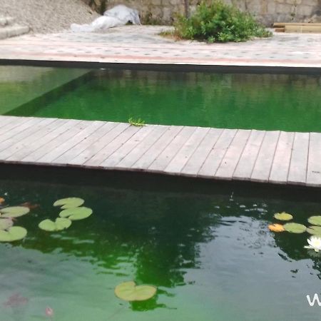 Gite Les Cabanes De Fallot Pour 15 Personnes - Piscine Naturelle L'isle-Bouzon Exteriör bild