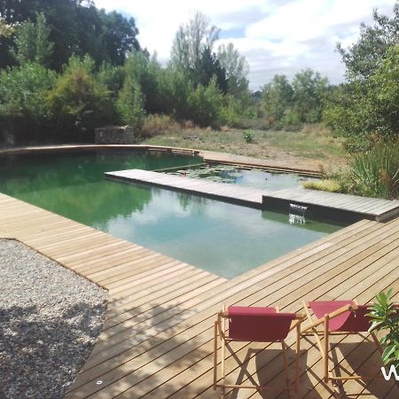 Gite Les Cabanes De Fallot Pour 15 Personnes - Piscine Naturelle L'isle-Bouzon Exteriör bild