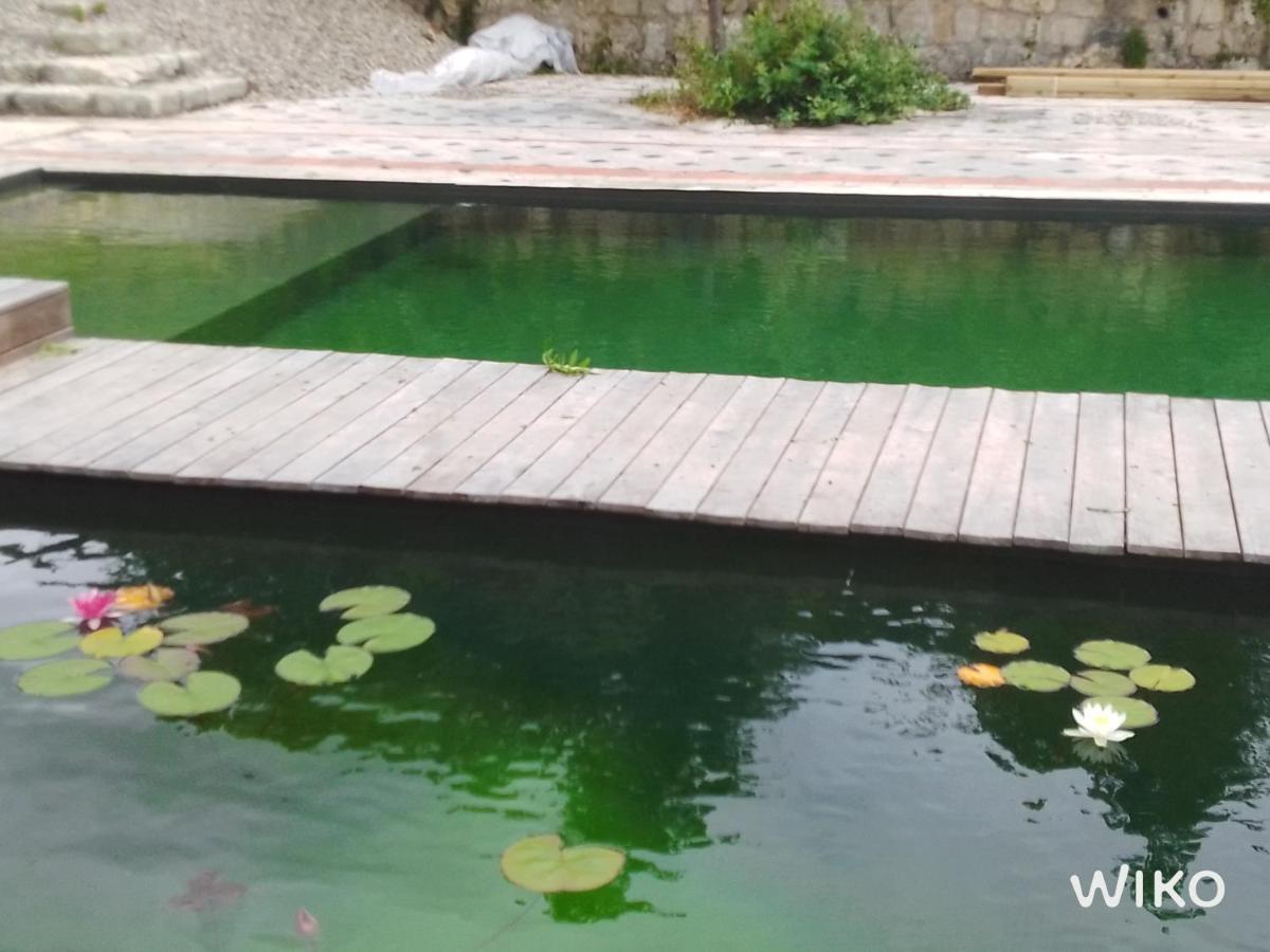Gite Les Cabanes De Fallot Pour 15 Personnes - Piscine Naturelle L'isle-Bouzon Exteriör bild