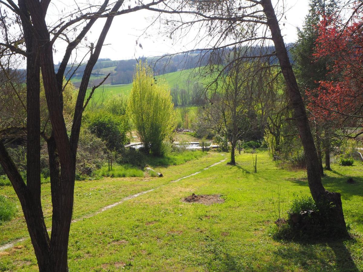 Gite Les Cabanes De Fallot Pour 15 Personnes - Piscine Naturelle L'isle-Bouzon Exteriör bild