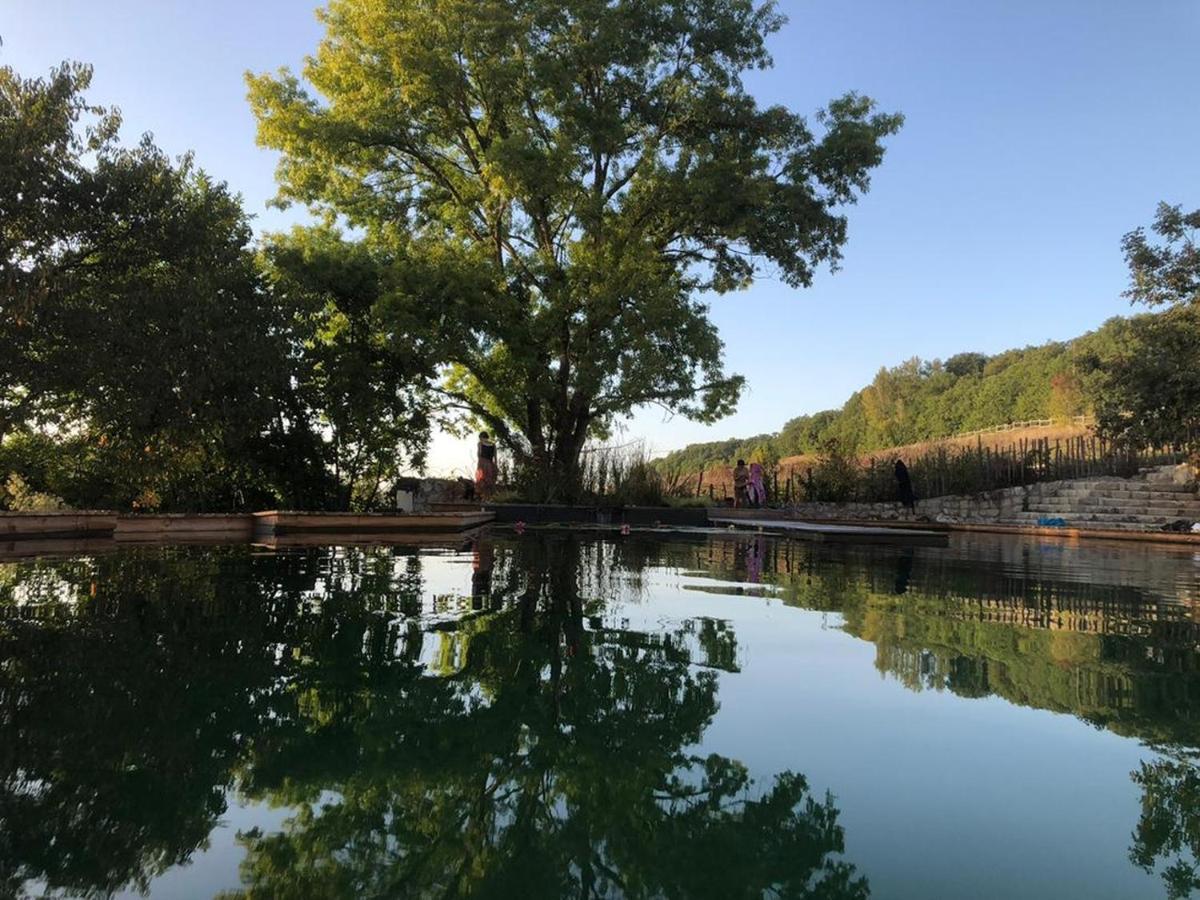 Gite Les Cabanes De Fallot Pour 15 Personnes - Piscine Naturelle L'isle-Bouzon Exteriör bild